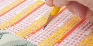 Keno Vs. Bingo Vs. Lotto